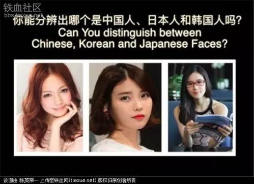 中日韩妹子说话视频