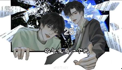 日韩漫画双男主解说视频,情感纠葛与成长之旅